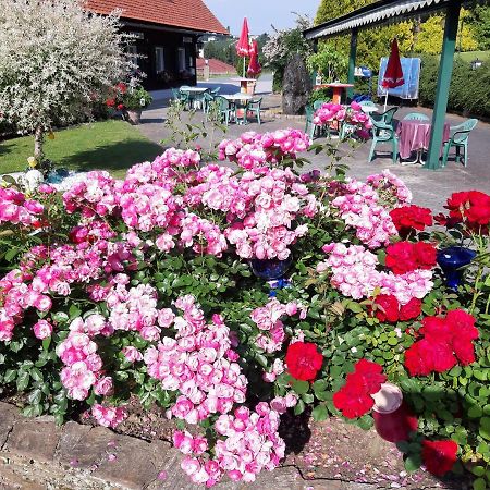 Gaestehaus Zur Schoenen Aussicht Wies ภายนอก รูปภาพ